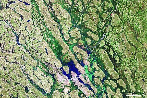 Seasonal floods affected thousands of people in Angola and Namibia during a rainy season that stretched through April 2011. Flood waters finally receded in May, but not before an estimated 260,000 residents had been affected. Around the city of Ondjiva, in southern Angola, water levels dropped significantly between late March and mid-May. The satellite captured this "after" image of the area on 13 May 2011. Made from a combination of shortwave infrared, near infrared, and red light, these images distinguish between water and land better than natural-color images. Vegetation appears bright green, and water appears bright blue. Thin white lines show embankments, which afforded Ondjiva some protection from the high waters in early 2011. Rainy season in this region can last from November to April. Image courtesy of NASA.