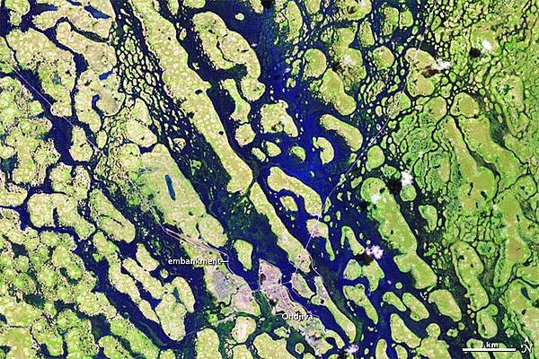 Seasonal floods affected thousands of people in Angola and Namibia during a rainy season that stretched through April 2011. Flood waters finally receded in May, but not before an estimated 260,000 residents had been affected. Around the city of Ondjiva, in southern Angola, water levels dropped significantly between late March (this photo) and mid-May (next photo). The satellite captured this "before" image of the area on 30 March 2011. Made from a combination of shortwave infrared, near infrared, and red light, these images distinguish between water and land better than natural-color images. Vegetation appears bright green, and water appears bright blue. Thin white lines show embankments, which afforded Ondjiva some protection from the high waters in early 2011. Rainy season in this region can last from November to April. Image courtesy of NASA.