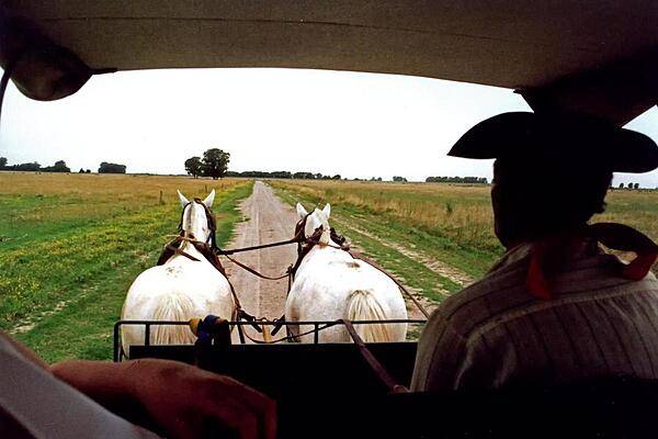 A Gaucho (Argentine cowboy) driving a carriage across the pampas. The pampas are a vast, fertile lowland plain found mostly in Argentina, but extending into Uruguay and southernmost Brazil. Vegetation is predominantly composed of grasses; trees are scattered or even absent in places. Important for cattle ranching and farming, the region contains rich topsoils that in places are up to 300 m (1,000 ft) in depth.