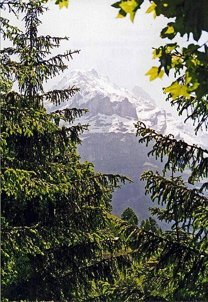 The Swiss Alps enfold a verdant valley.