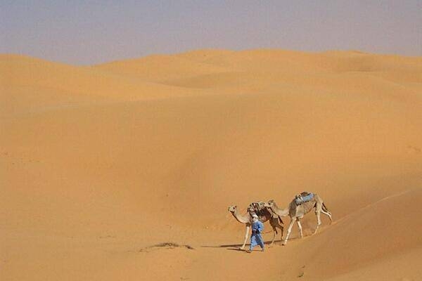 Trekking through the desert.