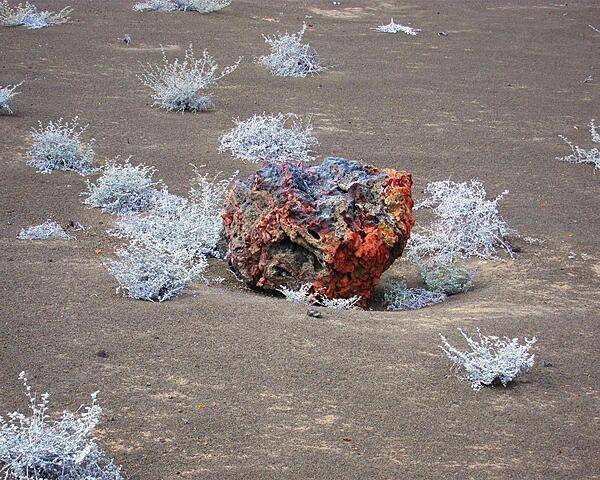 A colorful lava rock on Bartholomew (Bartolome) Island.