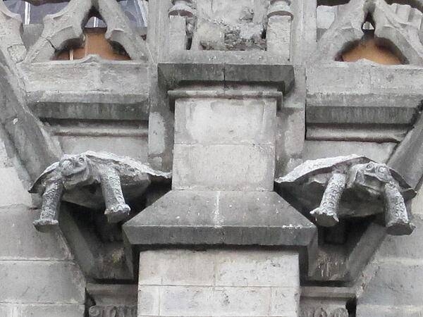 One of the oldest churches in South America is the Quito Cathedral. Built in the 1500s in the city center, it features a collection of gargoyles depicting native animals of Ecuador and the Galapagos Islands.