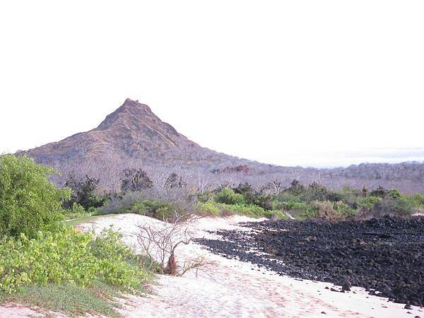 Santa Cruz Island's beach at Dragon Hill.