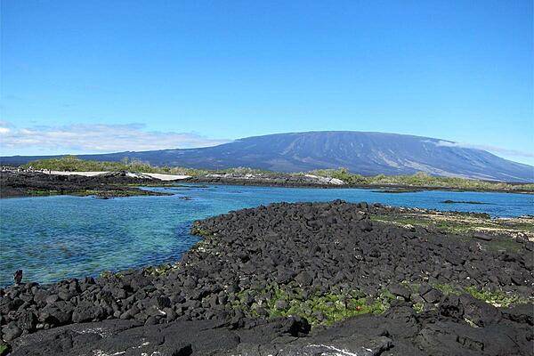 Fernandina Volcano on Fernandina Island is the archipelago's most active volcano.