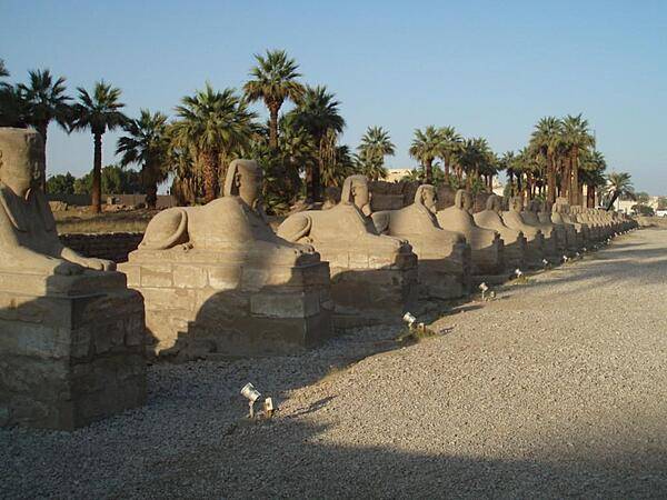 Avenue of the Sphinxes at the Temple of Luxor leading north to the Temple of Karnak. The avenue is being excavated.
