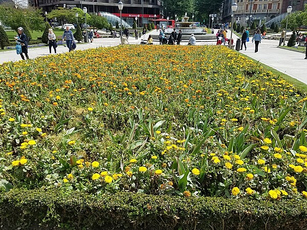 Flowers in a square in Bilbao, the capital of Bizkaia (Basque) Province. Signs are in Spanish and Basque.