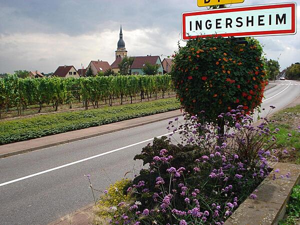 The road into Ingersheim on the Alsatian Wine Route.