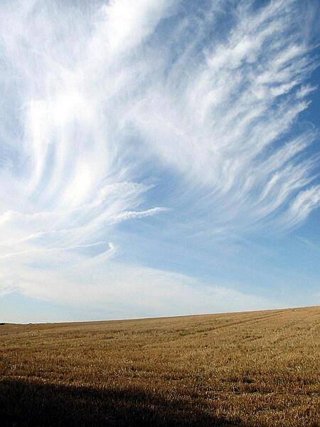 Vaults of clouds climb above the fields by Overton Hill in Wiltshire, England. Numerous tumuli (burial mounds) dot the hill, which has been the focus of human activities for over 5,000 years.