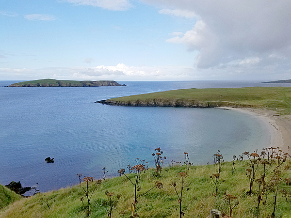 A view of the coastline of Shetland.
