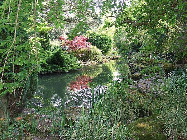 A hidden pool in the Secret Garden at Blenheim Palace.