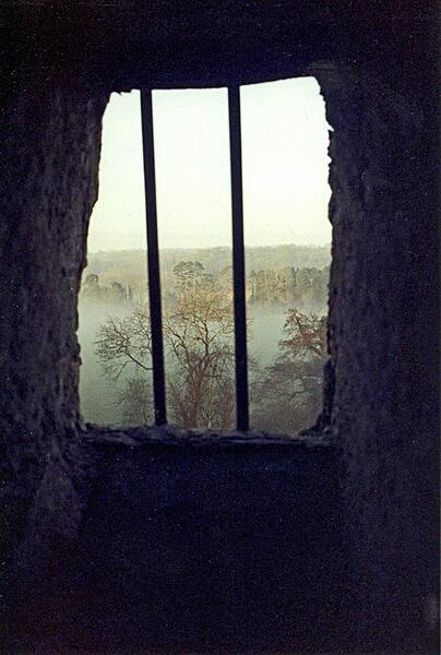 View of the park in the mist outside of Blarney Castle, near Cork.