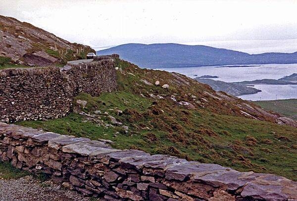 View along the "Ring of Kerry" drive, Iveragh Peninsula, County Kerry. The Ring is a 179 km (111 mi) tourist trail in southwestern Ireland that starts and ends in Killarney. Because the narrow roads make it difficult for tour busses to pass, all tour coaches travel in a counter clockwise direction. There is also a shorter bike/foot path.