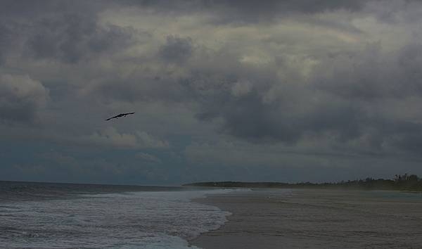 A B-2 Spirit Stealth Bomber arrives at Naval Support Facility Diego Garcia, 12 August 2020. Three B-2s deployed to the Indian Ocean as part of a training exercise. Photo courtesy of the US Air Force/ 1st Lt. Michael Hardy.