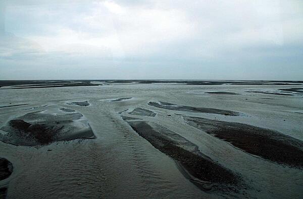 The many channels of a glacial river.