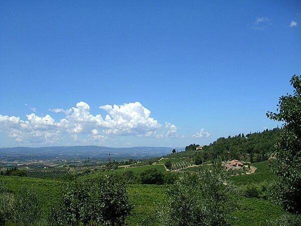 A view of a vineyard in Tuscany.