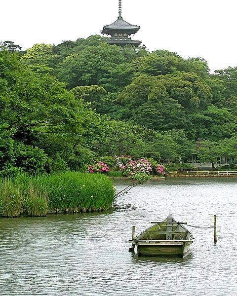 Layers of green foliage along the shoreline of a Japanese garden.