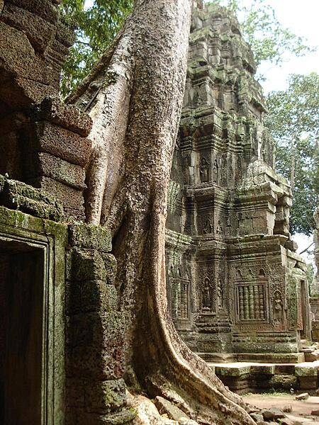 Another example of how intimately some trees have established themselves at Angkor Wat.