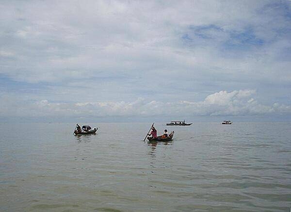 Boats on Tonle Sap, Cambodia's huge freshwater lake. During the dry season from November to May, the lake is fairly shallow - only about one meter deep - allowing boats to be poled. During the monsoon season, waters from the flooding Mekong River back up raising the lake depth to about nine meters. This annual pulsing over a large floodplain brings in high sediment and nutrient fluxes allowing for rich aquatic diversity. Tonle Sap is one of the most productive inland fisheries in the world.