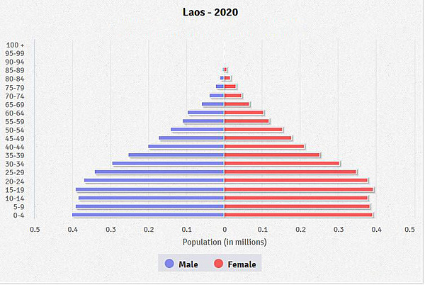 population pyramid