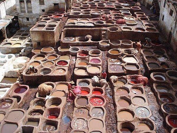 A tannery in Fez.