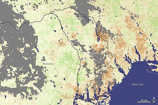 The impact of a 2007 drought on plants in Moldova and parts of Ukraine and Romania is illustrated by a pair of images (this and the previous). The photos are vegetation anomaly images that indicate how quickly plants were taking in light and growing. Areas that are green are regions where plants were larger and leafier (leading to more photosynthesis) than they were on average from 2000 through 2006. Brown areas show where plants were smaller or less leafy than average, in this case as a result of drought. Gray areas indicate where clouds blocked the ground from view throughout the observation period, and blue is water. The earlier satellite image is a compilation of daily data collected between 28 July 28 and 12 August 2007, when the impact of the drought was at its greatest. Summer crops, such as corn and sunflowers, were in a critical stage of development, during which water was essential. The deep brown tone that covered all of Moldova revealed that the hot, dry weather devastated plants. The image above, from 29 August through 13 September, reveals just how much conditions can change in a single month. Some of what had been brown is brushed with green where plants responded to rainfall. Helpful though the precipitation evidently was to those plants that were still growing, it arrived too late to improve crop conditions in general. Photos courtesy of NASA.