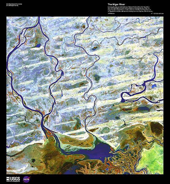 Coursing through parched, landlocked Mali, the Niger River flows north through an ancient sand sea before turning sharply east to skirt the edge of the dune-striped Sahara; it then heads south, through Niger, Benin, and Nigeria, to the Gulf of Guinea. At the confluence of the Bani and Niger Rivers in Mali lies a vast Inner Niger Delta the size of Belgium and composed of narrows, twisting waterways, lagoons, and tiny islands (some of which are shown here). Due to evaporation and seepage in this area, the river loses two thirds of its potential flow. The Niger River's strange crescent-shaped route is believed to have been formed when two ancient rivers merged as the region dried. From the Niger's source near the coast to the bend, the Upper Niger once emptied into a now gone lake. In the hills near the ancient lake, the Lower Niger began and flowed south to the Gulf of Guinea. False-color image courtesy of USGS.