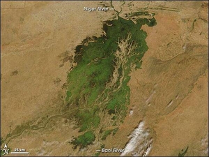 In the middle of Mali, part of the landscape gleams like a giant emerald in the otherwise arid brown African Sahel. The gleaming jewel is the Inland Niger Delta. Fed by floodwaters from the Niger River, the Bani River, and a network of smaller streams, this inland delta grows to some 20,000 sq km (7,700 sq mi) during the four-month rainy season that begins each July. During the dry season, the inland delta can shrink to roughly 3,900 sq km (1,500 sq mi).
This satellite picture of the Inland Niger Delta was taken shortly after the end of the rainy season when the landscape remained lush and green. This inland delta is a complex combination of river channels, lakes, swamps, and occasional areas of higher elevation. One such elevated area is obvious in this image, and it forms a branching shape, like a tan tree pushing up toward the north. This wet oasis in the African Sahel provides habitat both for migrating birds and West African manatees. The fertile floodplains also provide much needed resources for the local people, who use the area for fishing, grazing livestock, and cultivating rice. Image courtesy of NASA.