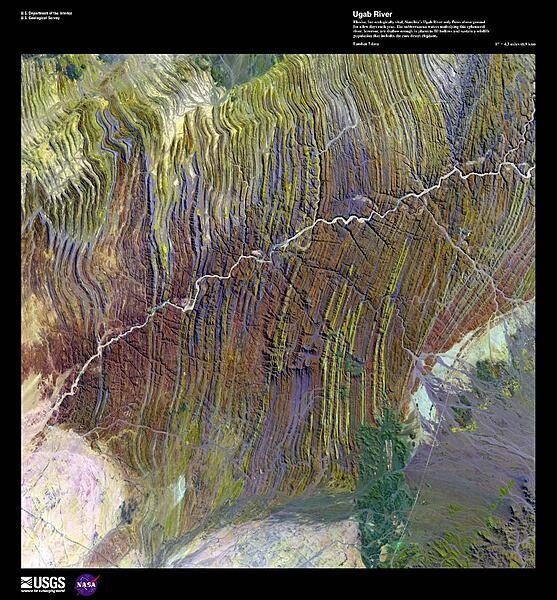 Elusive, but ecologically vital, the 500 km (310 mi) Ugab River only flows above ground for a few days each year. Shown in this false-color satellite image, the subterranean waters underlying this ephemeral river are shallow enough in places to fill hollows and sustain wildlife populations that include the rare desert elephant and the largest free population of black rhino. Pink-granite inselbergs, islands of rock left behind after volcanic activity, form bizarre sculptures in the sandy riverbed. Some, known as "petrified ghosts," are eerie hollow structures, carved by erosion. Image courtesy of USGS.