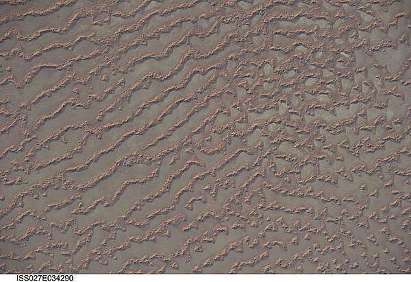 The Ar Rub al Khali (Great Sandy Desert) lies in the southern Arabian Peninsula. Also known as the "Empty Quarter," it is a large region of sand dunes and interdune flats known as a sand sea (or erg). This photo, taken from the International Space Station, highlights a part of the Ar Rub al Khali located close to its southeastern margin in the Sultanate of Oman. Reddish-brown, large, linear sand dunes alternate with blue-gray interdune salt flats known as sabkhas at left. The major trend of the linear dunes is transverse to northwesterly trade winds that originate in Iraq (known as the Shamal winds). Formation of secondary barchan (crescent-shaped) and star dunes (dune crests in several directions originating from a single point, looking somewhat like a starfish from above) on the linear dunes is supported by southwesterly winds that occur during the monsoon season (Khareef winds). The long linear dunes begin to break up into isolated large star dunes to the northeast and east (right). This is likely a result of both wind pattern interactions and changes in the sand supply to the dunes. 

The Empty Quarter covers much of the south-central portion of the Arabian Peninsula, and with an area of approximately 660,000 sq km (255,000 sq mi) it is the largest continuous sand desert on Earth. The Empty Quarter's hyperarid climate and the difficulty of travel through the dunes has not encouraged permanent settlement within the region. There is geological and archeological evidence, however, to support cooler and wetter past climates in the region together with human settlement. This evidence includes exposed lakebed sediments, scattered stone tools, and the fossils of hippopotamus, water buffalo, and long-horned cattle. Image courtesy of NASA.