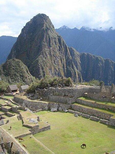 Llamas in a plaza at Machu Picchu.