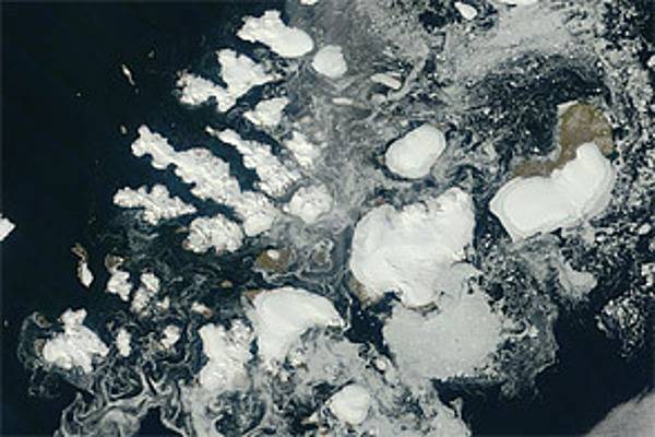 Russia’s northernmost territory, Franz Josef Land, is an archipelago of 191 islands in the northeastern Barents Sea. On 17 August 2011, clear skies allowed NASA’s Terra satellite this unobstructed view. Clouds fringe this natural-color scene, like curtains held back from a window. Around the islands, sea ice forms serpentine shapes of light gray and dull white. The glaciers that cap many of the islands are bright white. In ice-free areas, land cover is pale brown, typical of tundra.
Situated about 1,000 km (625 mi) from the North Pole, Franz Josef Land has a punishing climate. The average summertime temperature is just 2 degrees Celsius (35 degrees Fahrenheit), and the average wintertime temperature is -22 degrees Celsius (-8 degrees Fahrenheit). Vegetation includes lichens, mosses, and Arctic flowering plants. Image courtesy of NASA/Jeff Schmaltz.