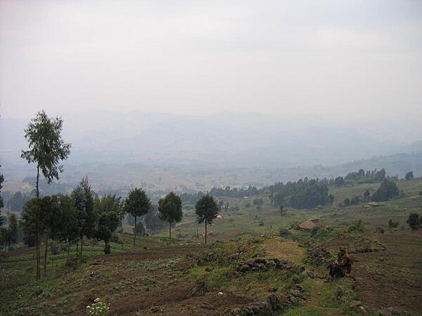 Rwanda hillside.