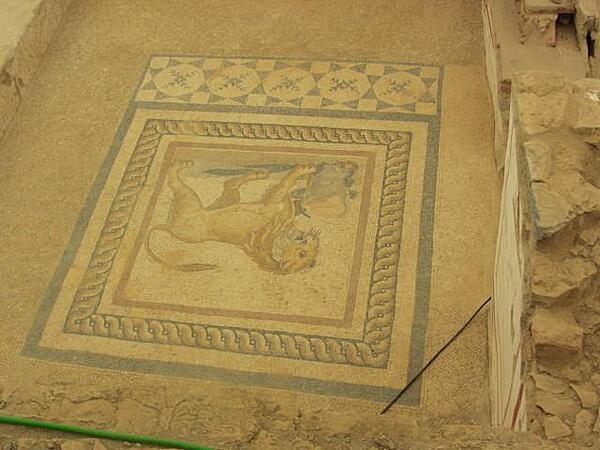 Floor mosaic in a terrace home in Ephesus built on a hill opposite the Temple of Hadrian. The wealthy families lived here in six multi-family homes built on three terraces. Most homes were highly decorated and were heated by use of hot water flowing through pipes in the floors and walls. The roof of one house formed the patio or terrace of the house above it. Work on restoring the houses began in 1960.