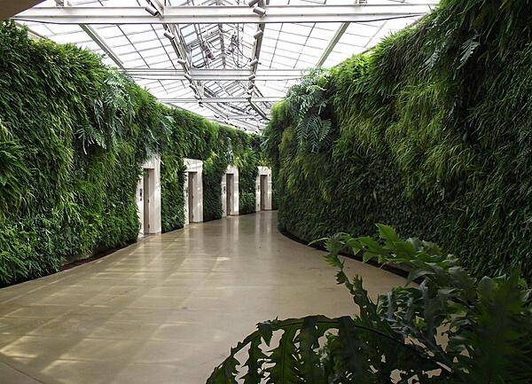 "Green walls" in one of the conservatories at Longwood Gardens, Kennett Square, Pennsylvania.