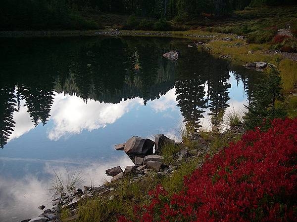 Reflection on an utterly still high mountain lake in Olympic National Park, Washington state. Photo courtesy of the National Park Service/Danielle Archuleta.
