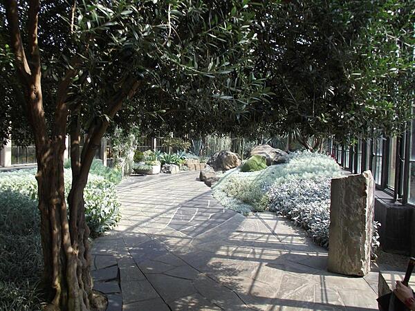 The silver garden inside one of the conservatories at Longwood Gardens, Kennett Square, Pennsylvania.