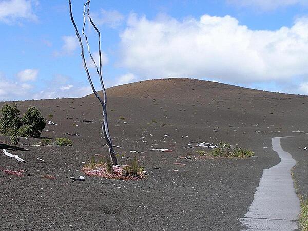 Devastation Trail at Hawaii Volcanoes National Park on the Big Island.