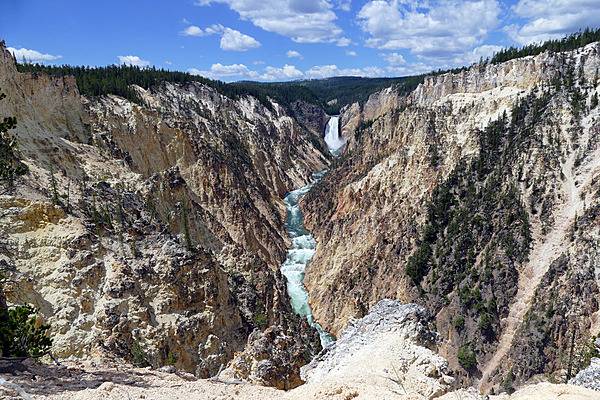 The Lower Falls of the Yellowstone River as seen from Artist Point. Image courtesy of the US National Park Service/Diane Renkin.