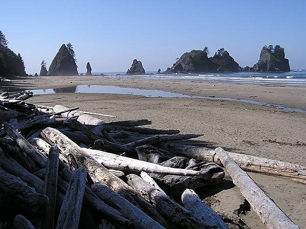 Stacked drift wood and offshore sea stacks at Point of the Arches, Olympic National Park, Washington state. Photo courtesy of the National Park Service.