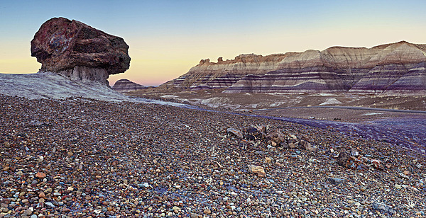 A pedestal log along the Blue Mesa Trail in Petrified Forest National Park in northeastern Arizona. Image courtesy of the US National Park Service/ Andrew V. Kearns.