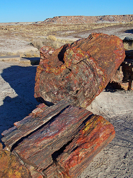 Large logs of petrified wood reveal their colors from naturally caused breaks at Giant Logs in Petrified Forest National Park, Arizona. Image courtesy of the US National Park Service/Hallie Larsen.