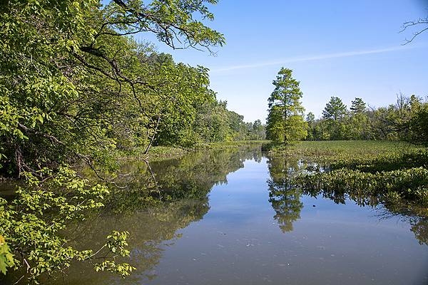 Theodore Roosevelt Island landscape. Photo courtesy of the National Park Service.