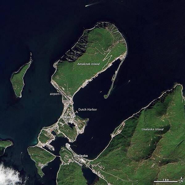 This natural-color satellite image shows Unalaska and Amaknak Islands, which are part of the Aleutian Island chain that separates the North Pacific Ocean from the Bering Sea. The city of Unalaska is split between the two islands: the northern part, where Dutch Harbor is located, is connected to the southern part by a bridge. The wakes of several ships are visible in the surrounding waters. Image courtesy of NASA.