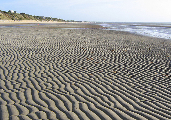 Cape Cod beach, North Eastham, Massachusetts.